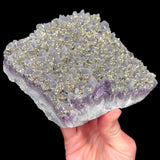 Purple Amethyst with Pyrite crystallization on top from Bulgaria