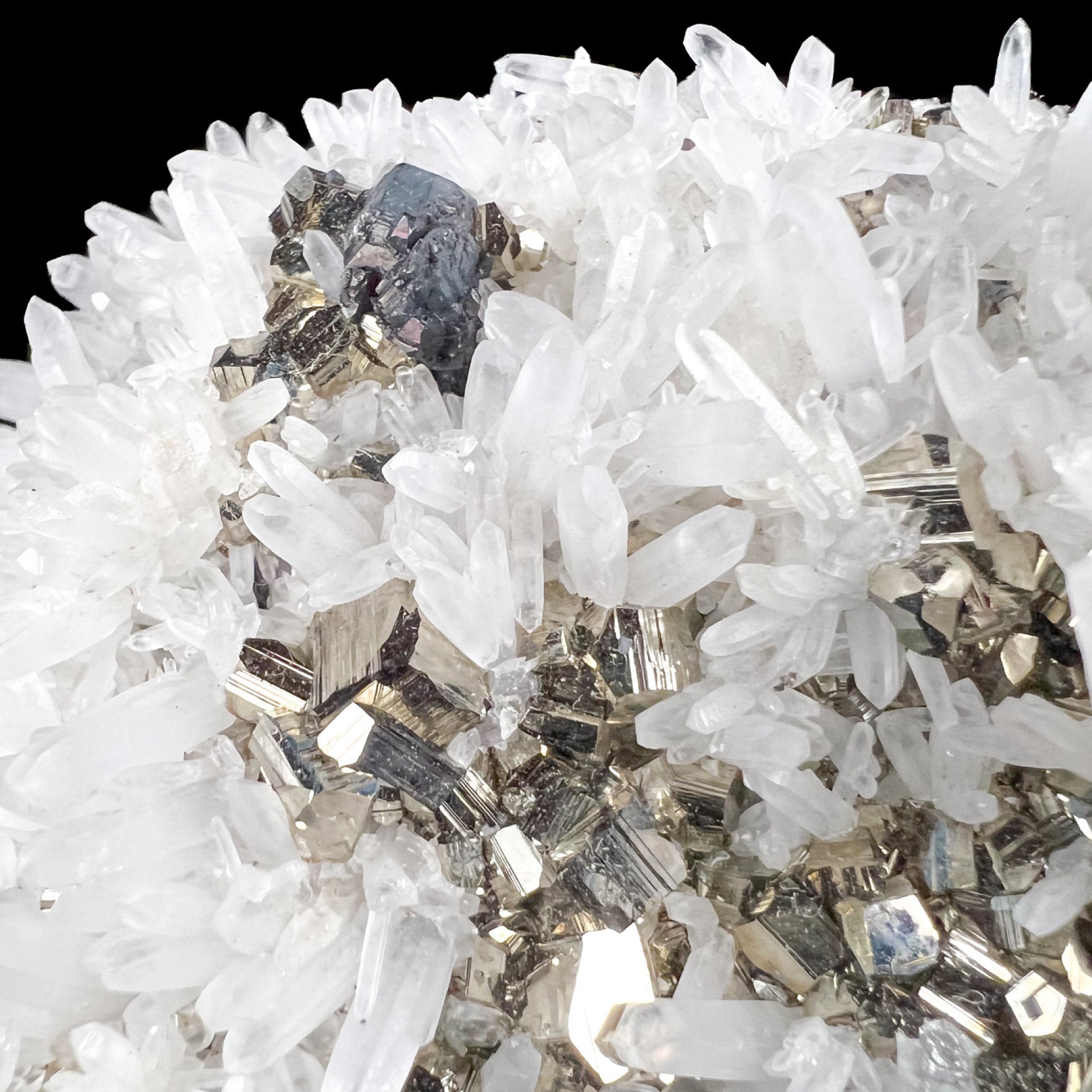 Close up of a Sphalerite crystal mixed with Quartz and Pyrite