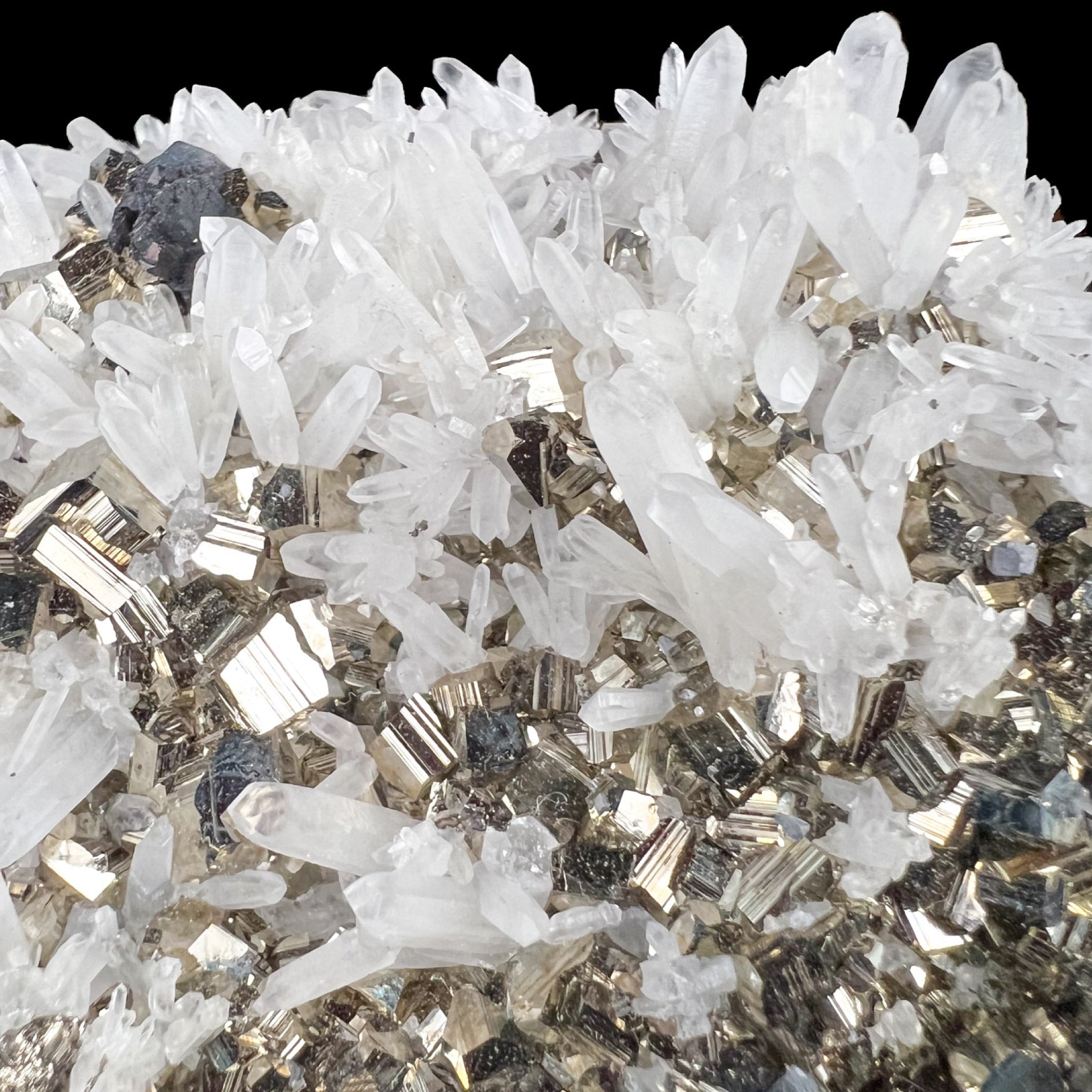 Close up of Pyrite cubes, Quartz crystals, and Sphalerite from Peru