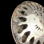 Pyrite crystals inside an Ammonite fossil shell