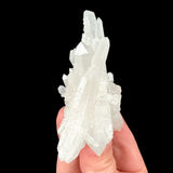 Quartz crystal specimen from Camp Bird Mine, Ouray, Colorado, USA
