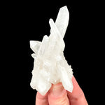 Quartz mineral specimen - Camp Bird Mine, Colorado