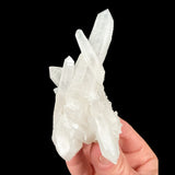 Double terminated Quartz crystals from Camp Bird Mine, CO