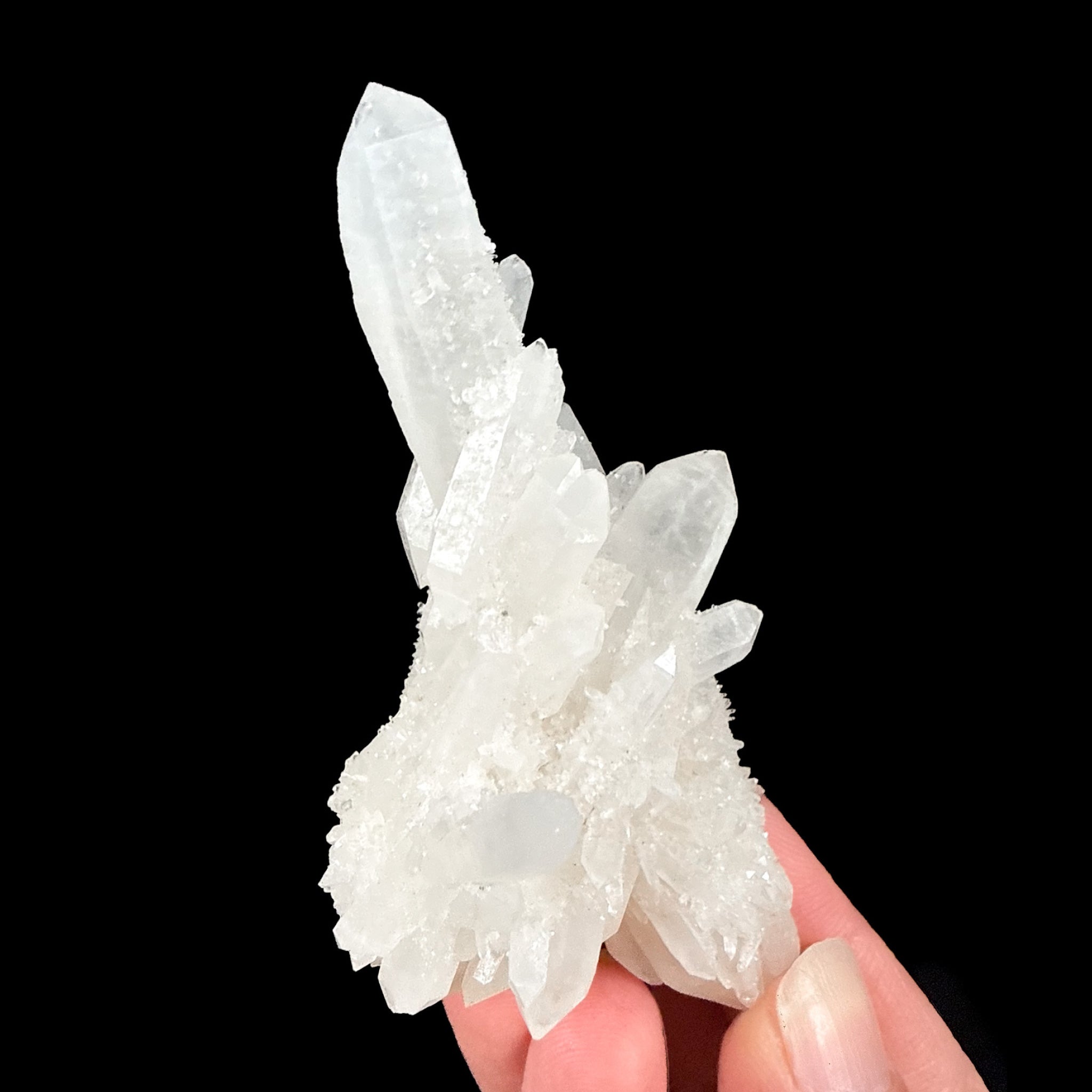 Quartz crystal specimen - Camp Bird Mine, Colorado, USA