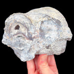Exterior of Dugway Geode with small crystal pocket