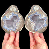 Dugway Geode Pair with Drusy Quartz and Chalcedony Crystals