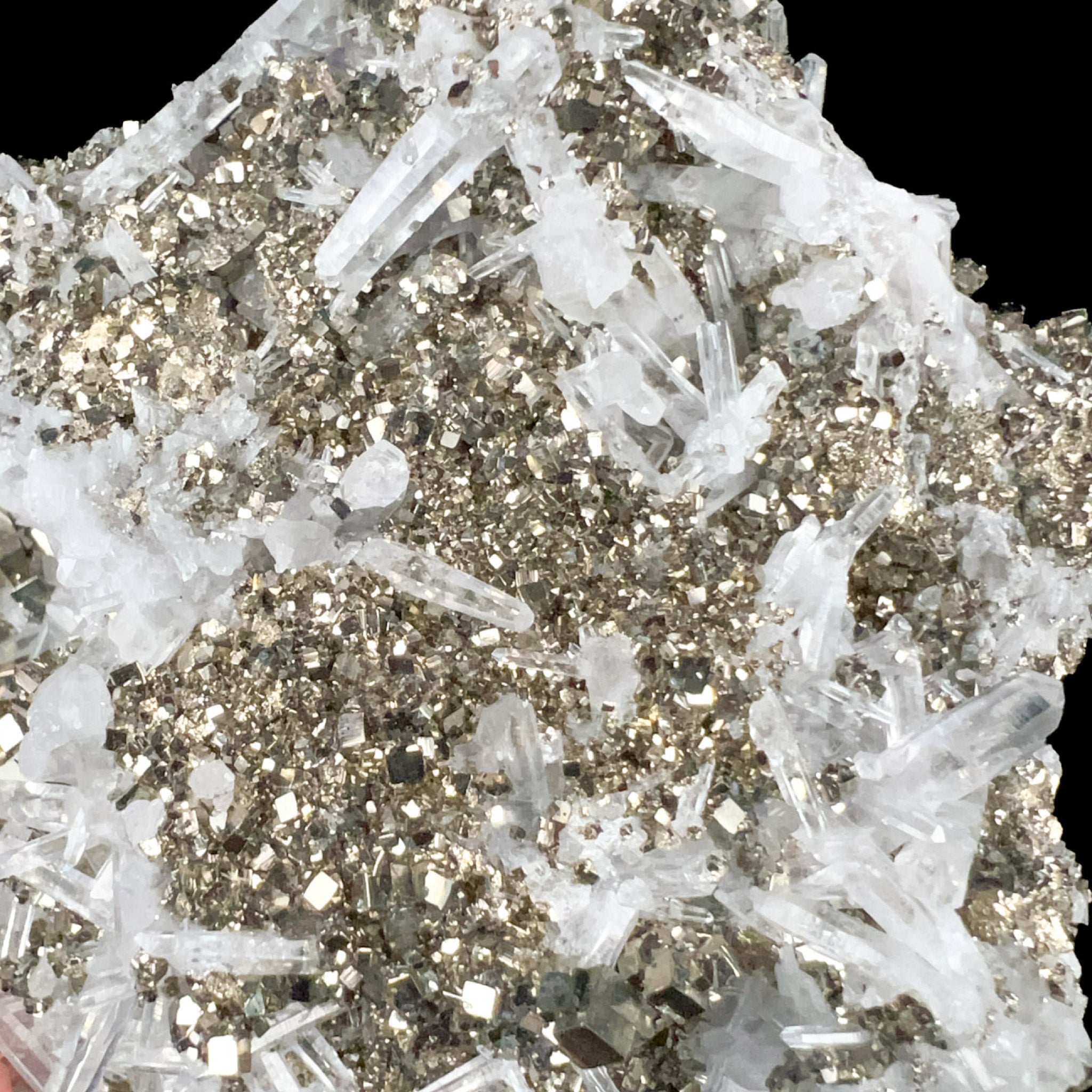 Close-up of mineral specimen of Pyrite and Quartz from Peru