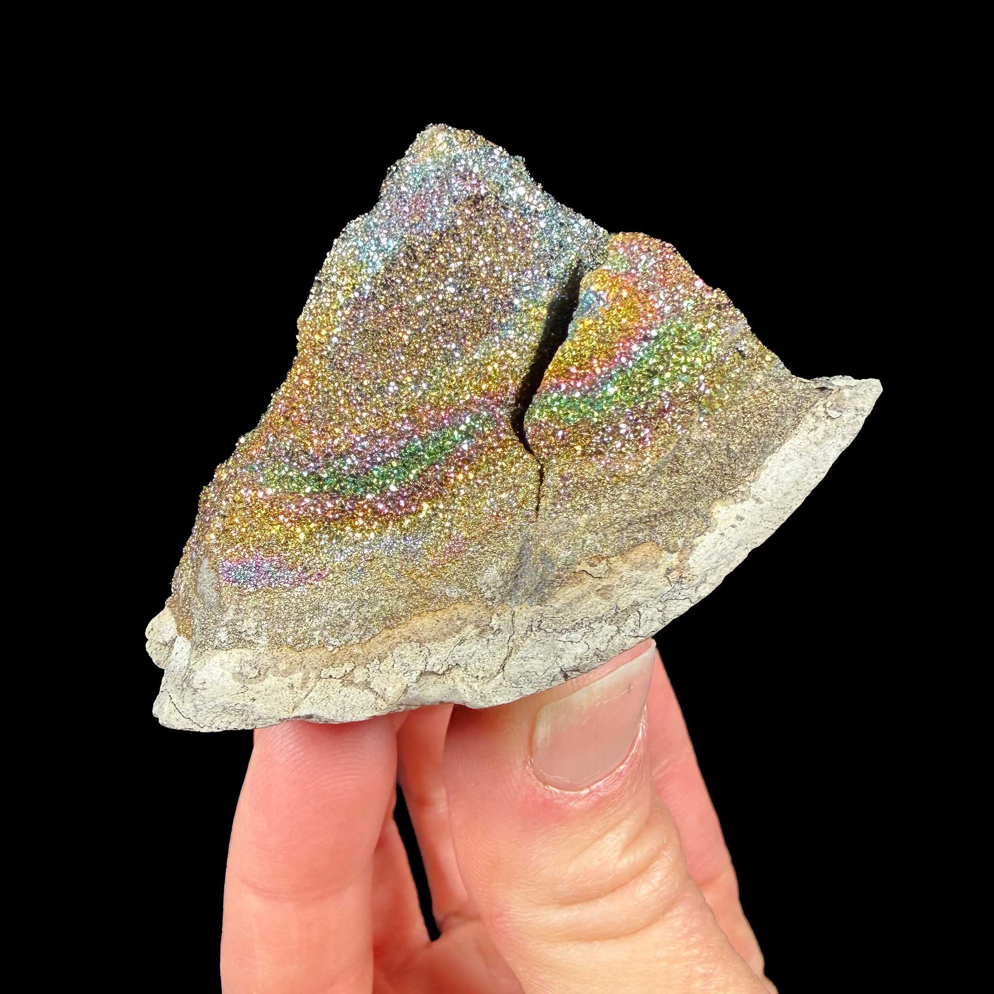 Rainbow Pyrite crystals inside a concretion