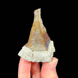 Pyrite crystals in a concretion from Russia