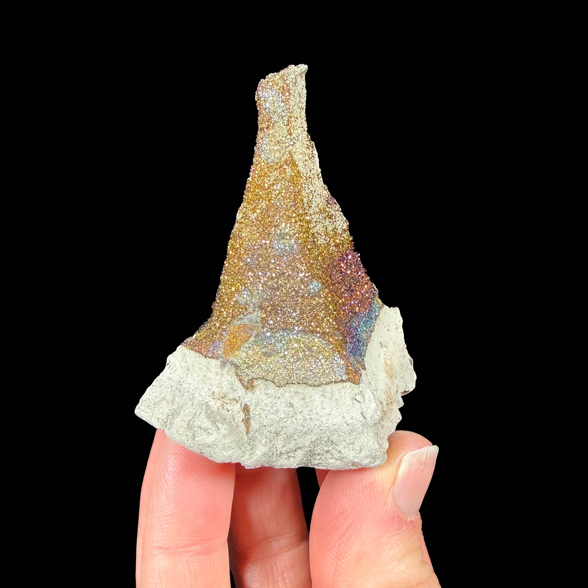 Pyrite crystals in a concretion from Russia