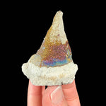 Rainbow Pyrite crystals from a concretion