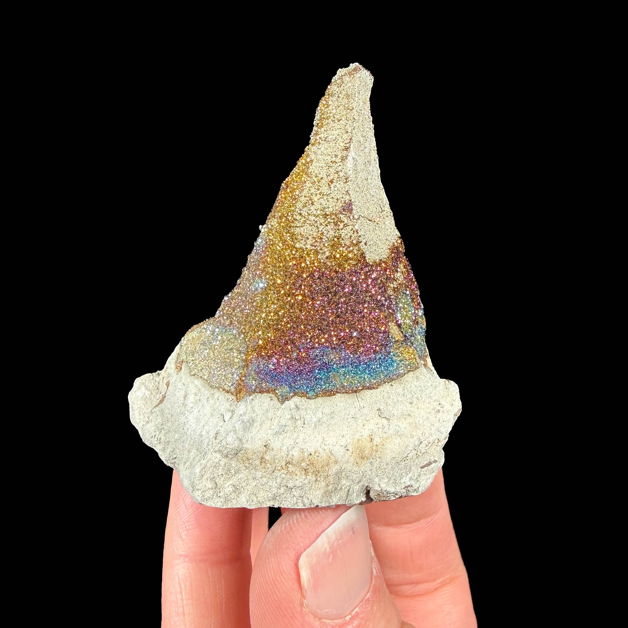 Rainbow Pyrite crystals from a concretion