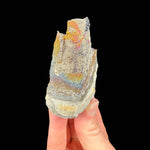 Side view of specimen 