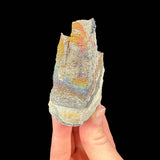 Side view of specimen 