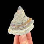Reverse side of specimen