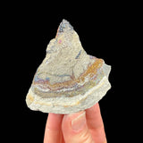 Reverse side of specimen