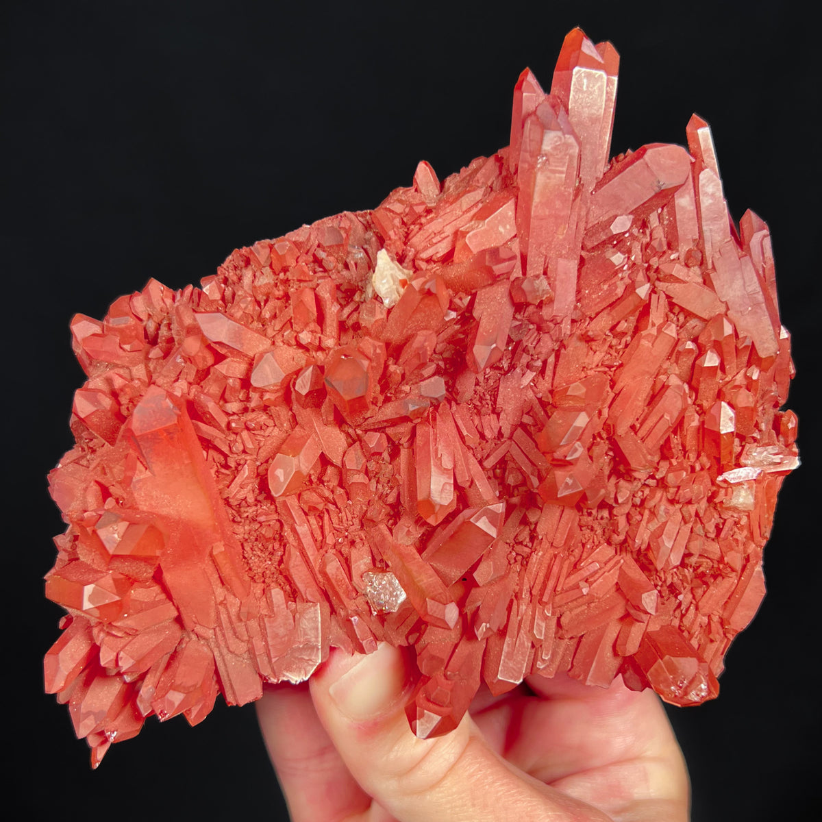 Red iron-coated Quartz crystals from Brazil
