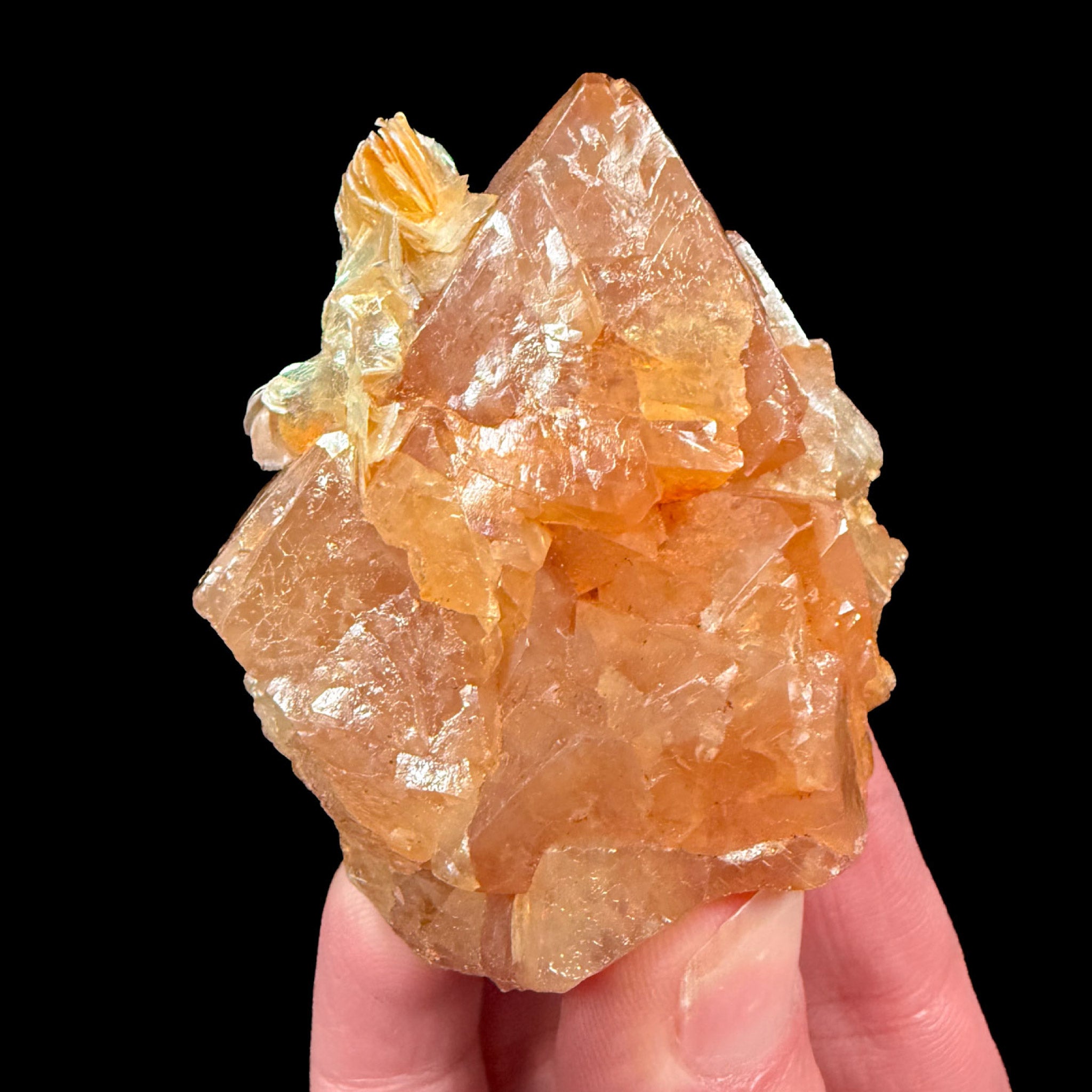 Scheelite crystals with muscovite mica