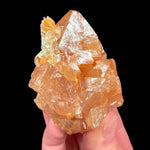 Orange Scheelite crystals with Muscovite Mica