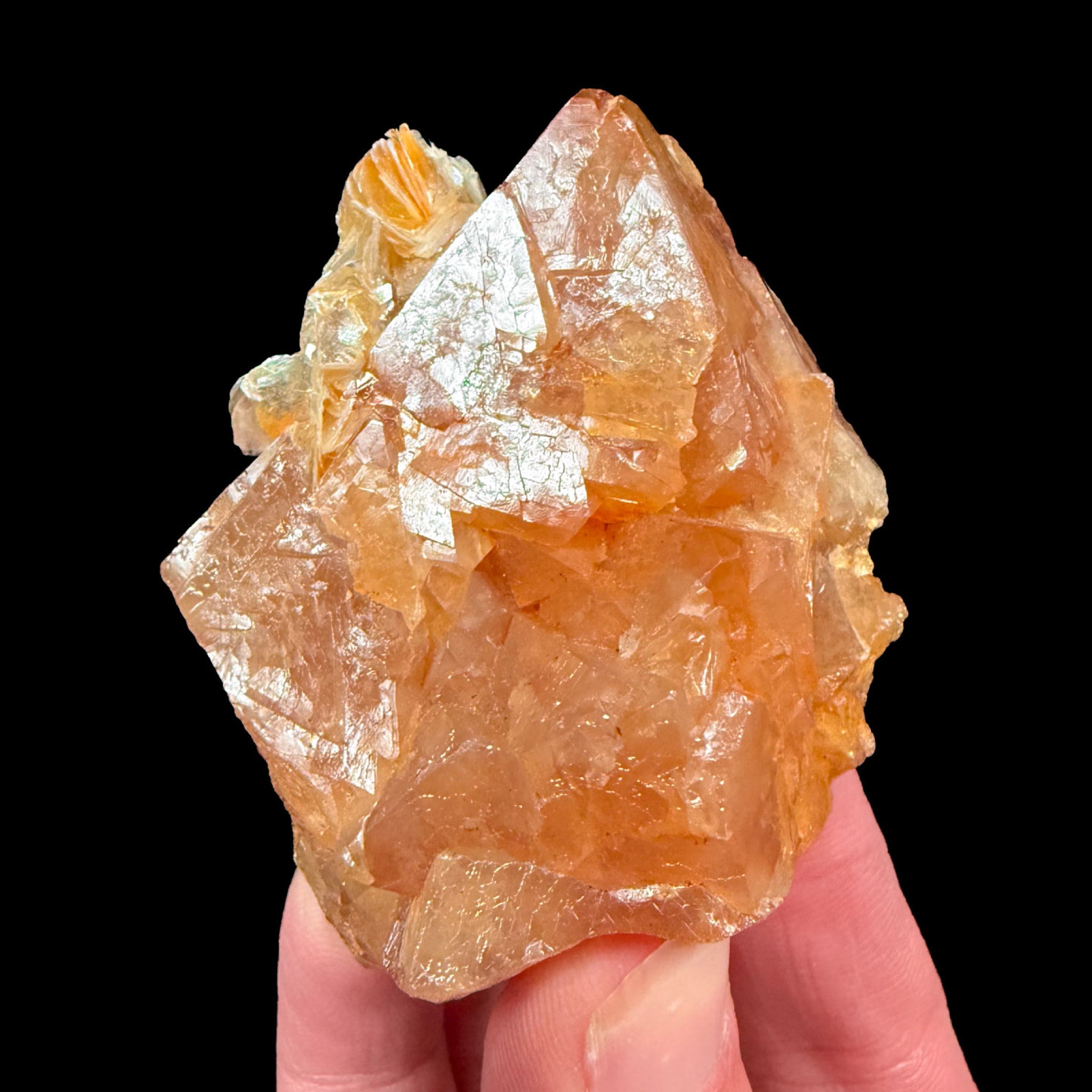 Scheelite mineral specimen