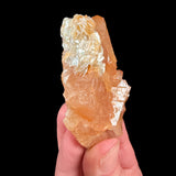 Muscovite crystals on Scheelite