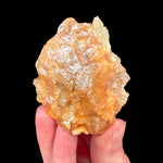 reverse side of specimen