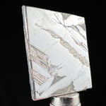 Widmanstatten Formations in Pallasite Meteorite from Seymchan