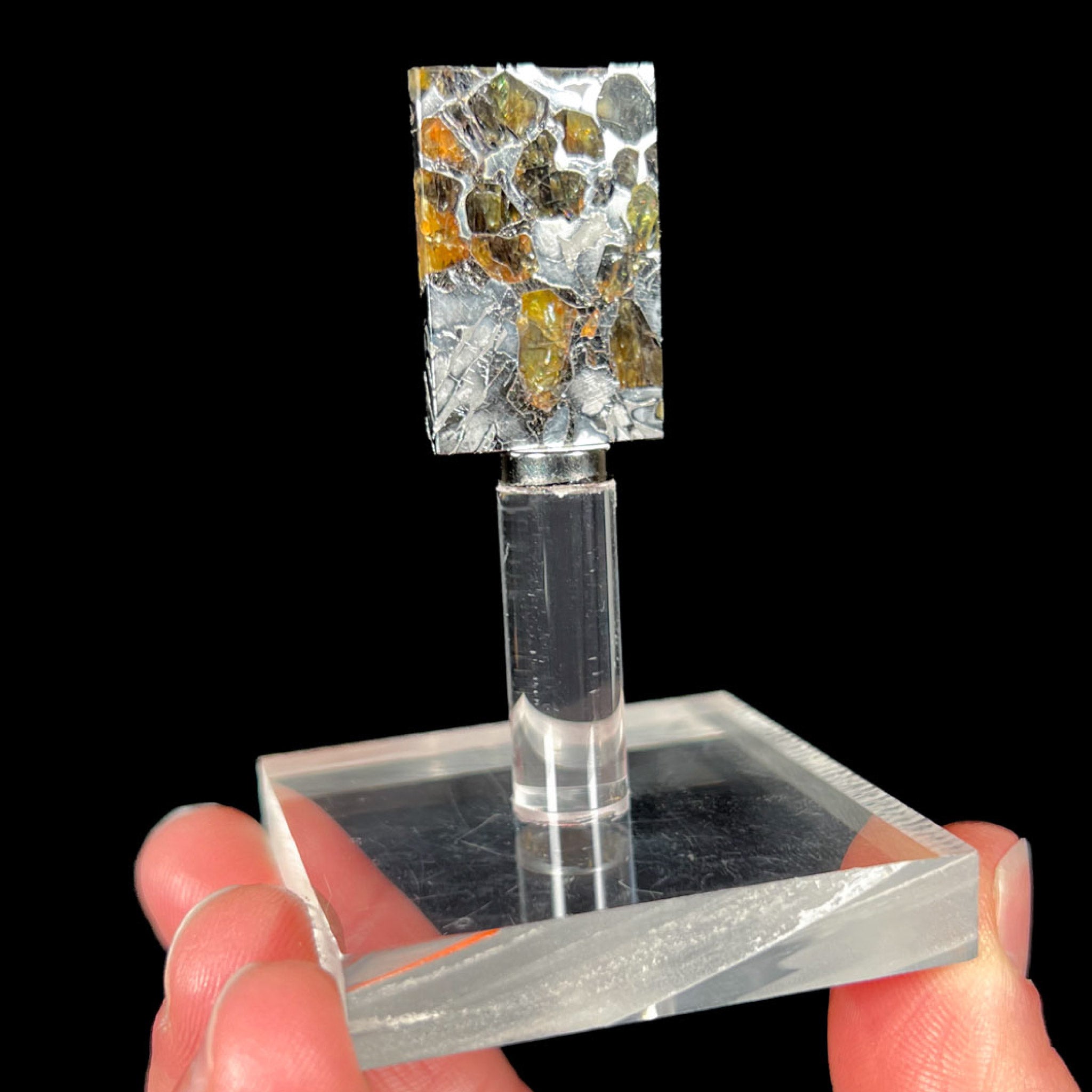 Seymchan Pallasite Meteorite Slice