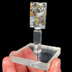 Seymchan Pallasite Meteorite Specimen