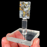 Seymchan Pallasite Meteorite Specimen