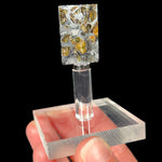 Seymchan Meteorite Slice from Russia