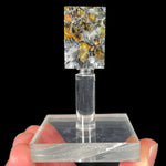 Seymchan Pallasite Meteorite Slice