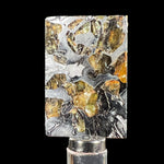 Pallasite Meteorite Slice from Seymchan
