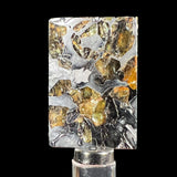 Pallasite Meteorite Slice from Seymchan