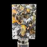Pallasite Meteorite Slice with Iron and Olivine Crystals