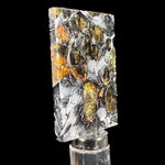 Side View of Pallasite Meteorite Slice