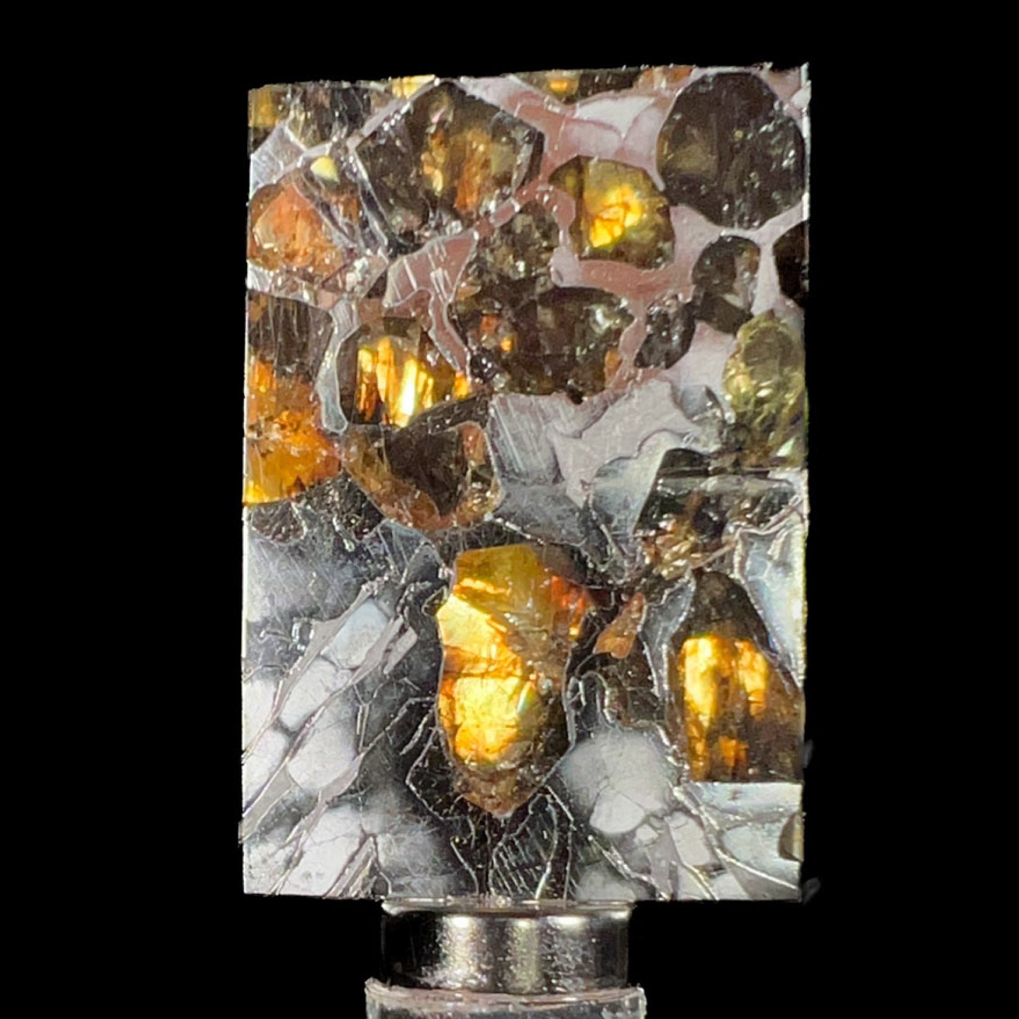 Seymchan Pallasite Meteorite Slice Displaying gem Olivine / Peridot Crystals