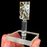 Seymchan Pallasite Meteorite Slice