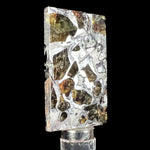 Pallasite Meteorite Slice from Seymchan