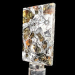 Seymchan Pallasite Meteorite Slice Side View