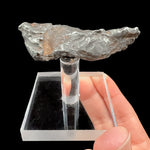 Sikhote-Alin Meteorite specimen from Russia