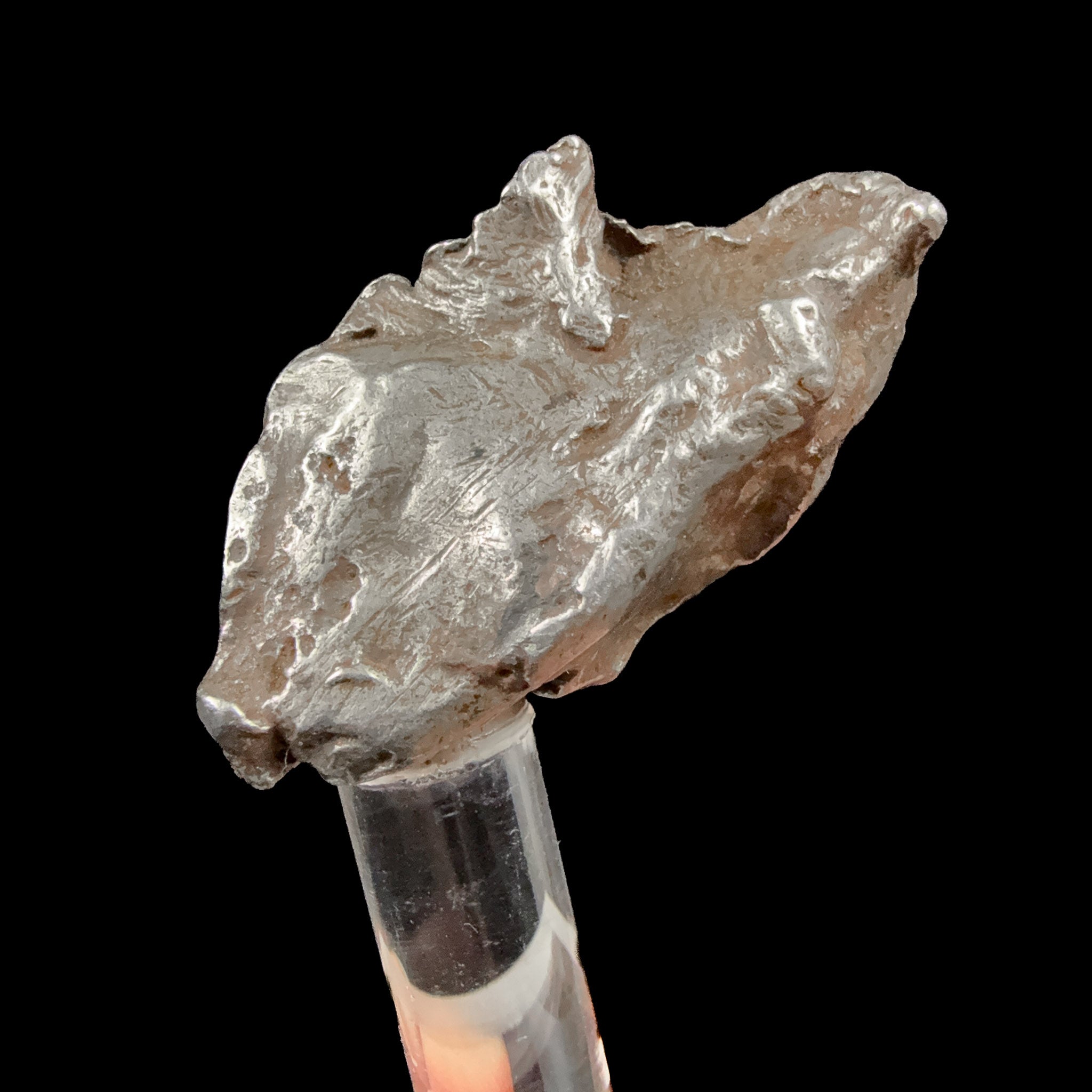 Raw specimen from Sikhote Alin Meteorite