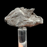 Meteorite specimen from Sikhote-Alin Russia