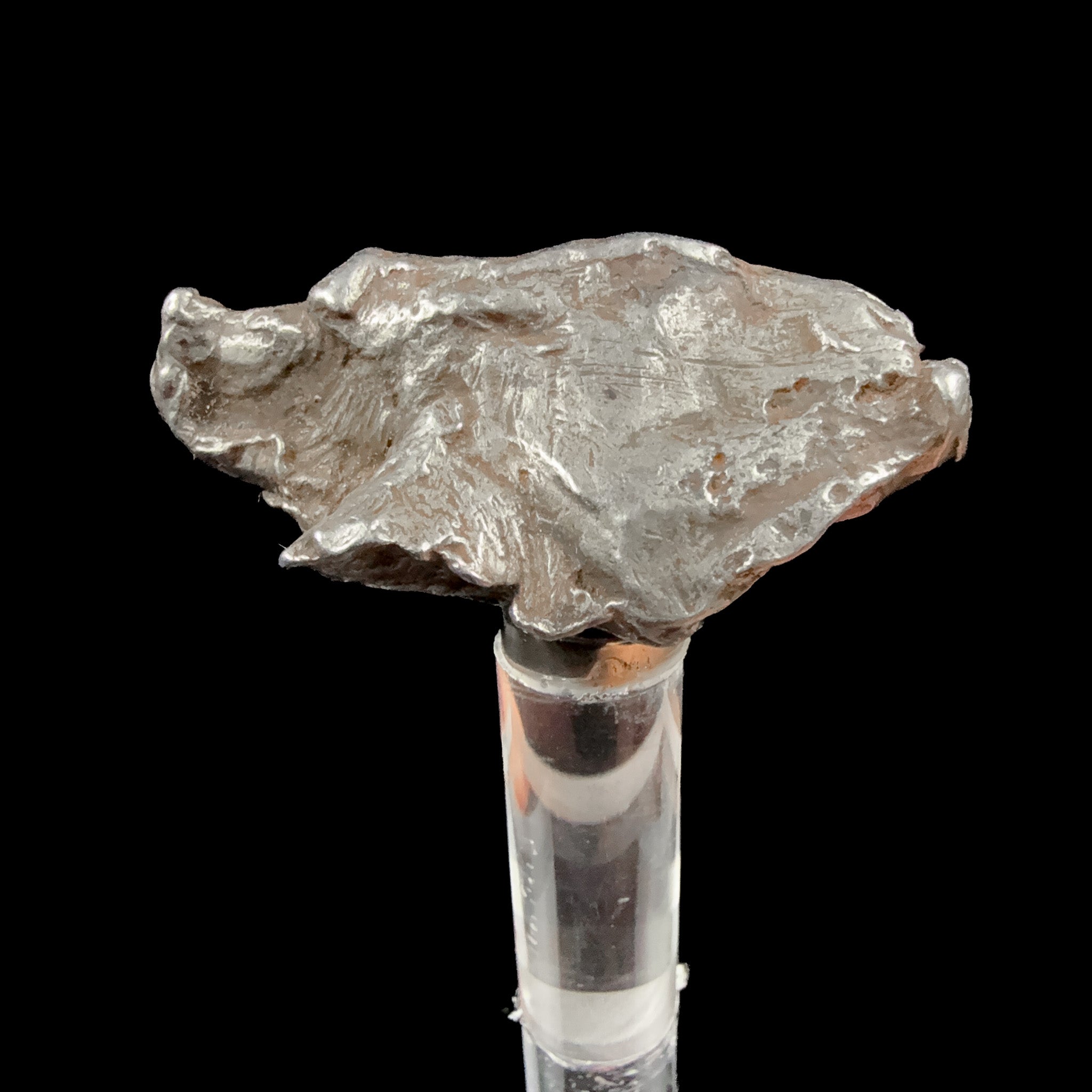 Sikhote Alin Meteorite specimen - Russia