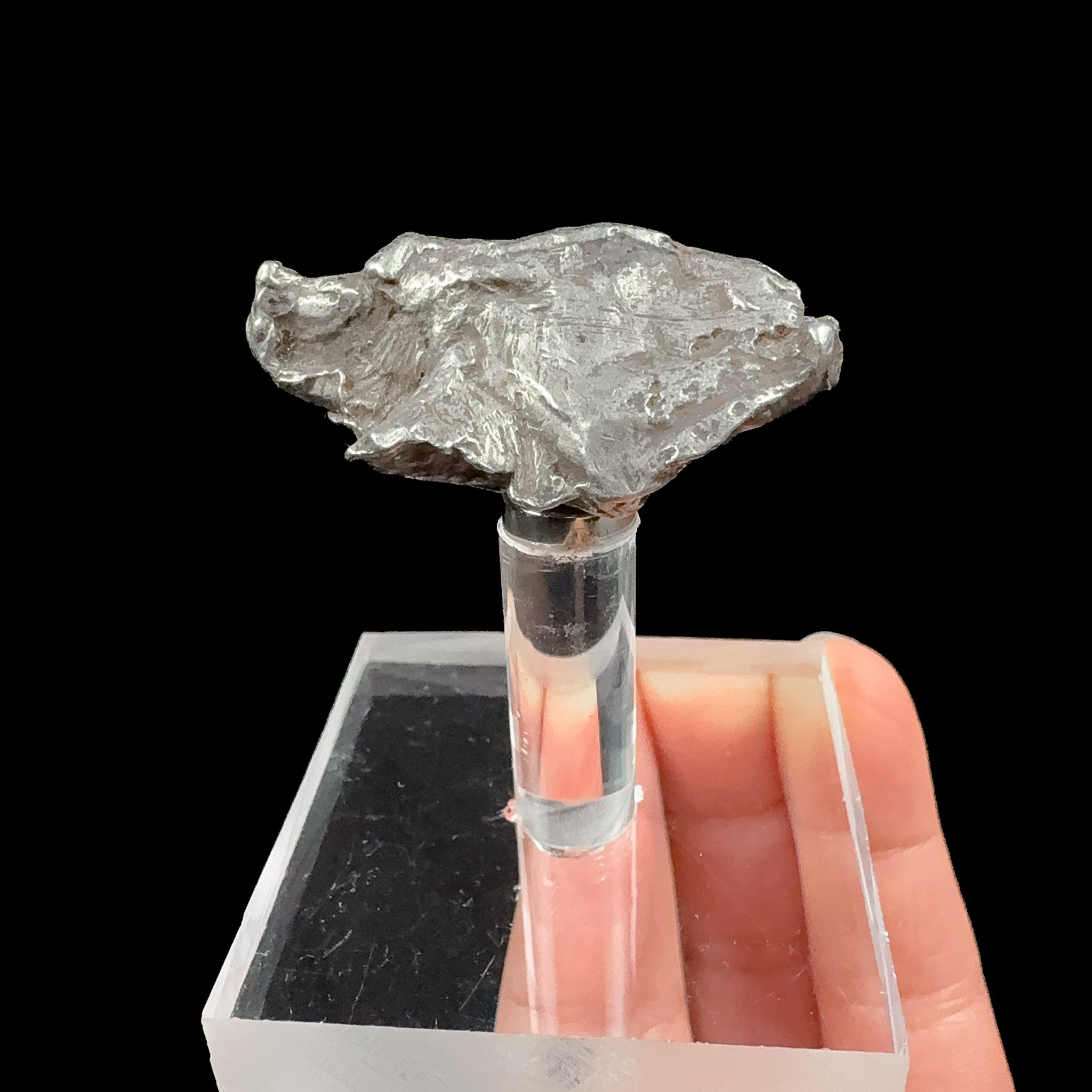 Sikhote-Alin Meteorite on Magnetic Stand