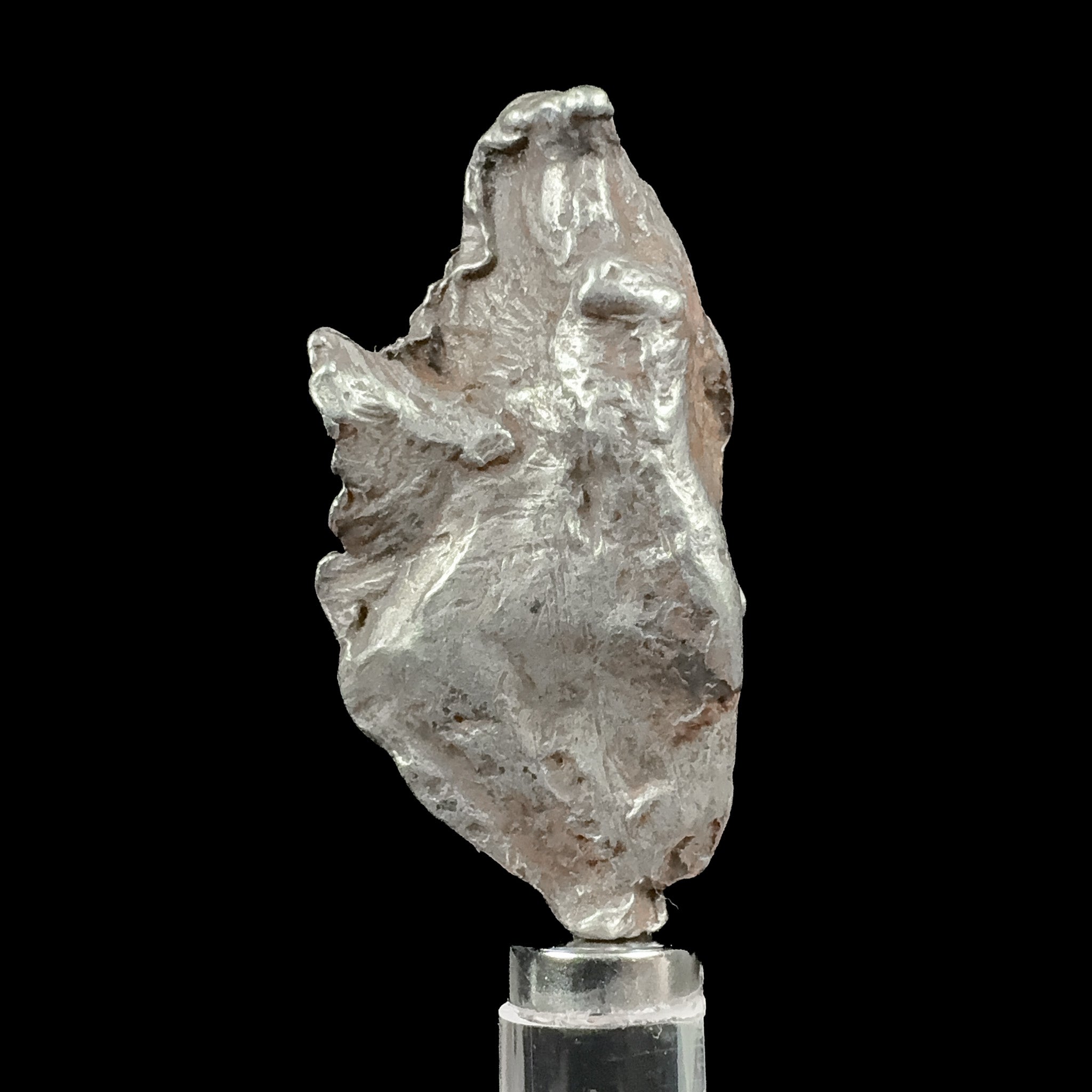 Sikhote-Alin Meteorite Specimen