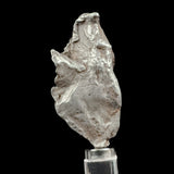 Iron Meteorite - Sikhote-Alin Russia