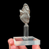 Sikhote Alin Meteorite on magnetic display stand