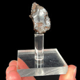 Meteorite from Sikhote-Alin