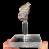 Meteorite from Sikhote-Alin